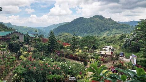 buwakan ni alejandra|How to Get to Buwakan ni Alejandra Cebu » Shellwanders.